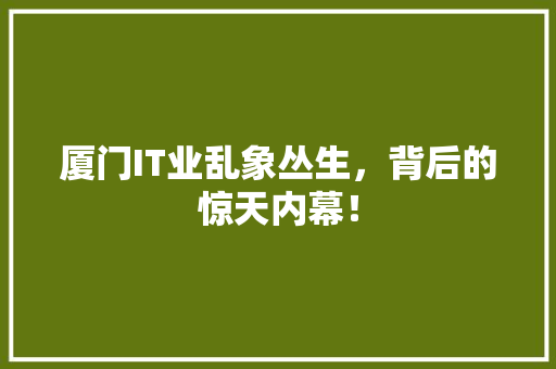 厦门IT业乱象丛生，背后的惊天内幕！ 搜狗SEO