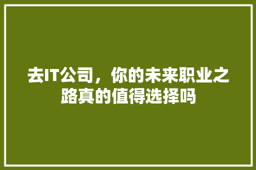 去IT公司，你的未来职业之路真的值得选择吗 搜狗SEO