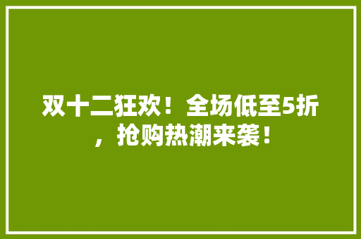 双十二狂欢！全场低至5折，抢购热潮来袭！ 搜狗SEO