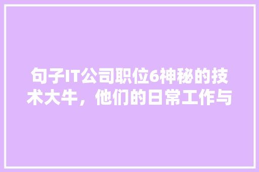 句子IT公司职位6神秘的技术大牛，他们的日常工作与晋升路径！ 百度SEO
