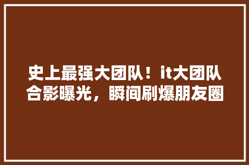 史上最强大团队！it大团队合影曝光，瞬间刷爆朋友圈！ 百度SEO