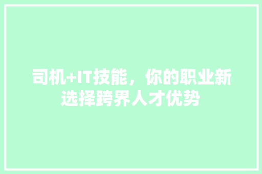 司机+IT技能，你的职业新选择跨界人才优势 必应SEO