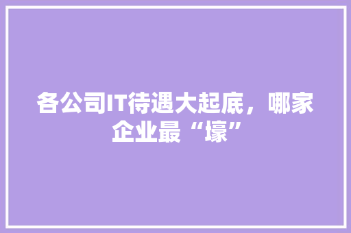 各公司IT待遇大起底，哪家企业最“壕” 必应SEO