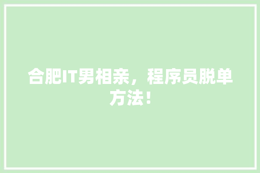 合肥IT男相亲，程序员脱单方法！ GoogleSEO
