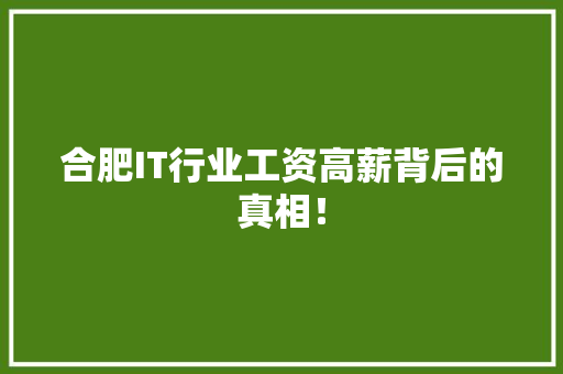 合肥IT行业工资高薪背后的真相！ 神马SEO