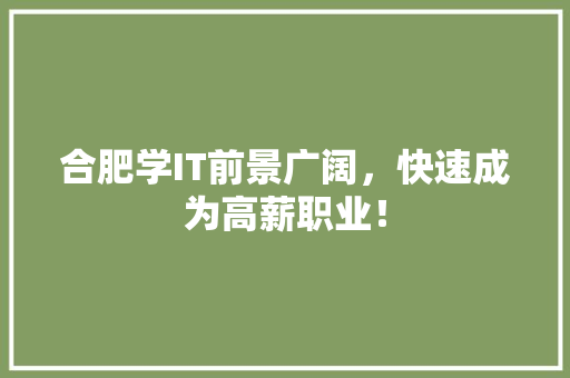 合肥学IT前景广阔，快速成为高薪职业！ 必应SEO