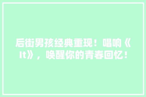 后街男孩经典重现！唱响《It》，唤醒你的青春回忆！ 必应SEO