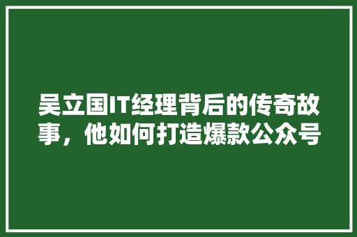 吴立国IT经理背后的传奇故事，他如何打造爆款公众号！ 必应SEO