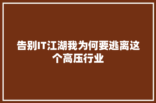 告别IT江湖我为何要逃离这个高压行业 必应SEO