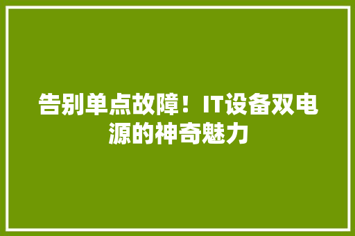 告别单点故障！IT设备双电源的神奇魅力 神马SEO