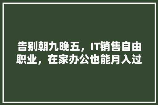 告别朝九晚五，IT销售自由职业，在家办公也能月入过万！ 神马SEO