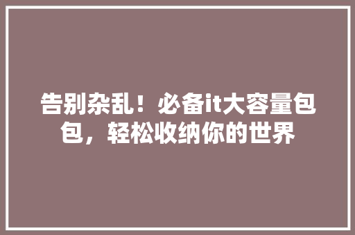 告别杂乱！必备it大容量包包，轻松收纳你的世界 GoogleSEO