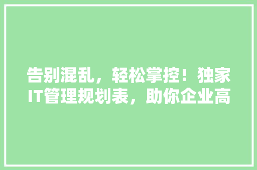 告别混乱，轻松掌控！独家IT管理规划表，助你企业高效运营 必应SEO