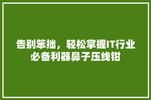 告别笨拙，轻松掌握IT行业必备利器鼻子压线钳 搜狗SEO