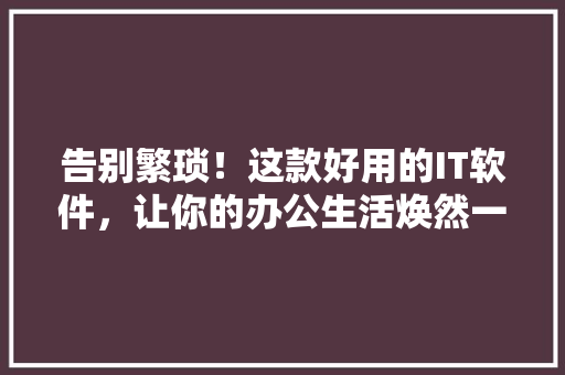 告别繁琐！这款好用的IT软件，让你的办公生活焕然一新！ 百度SEO