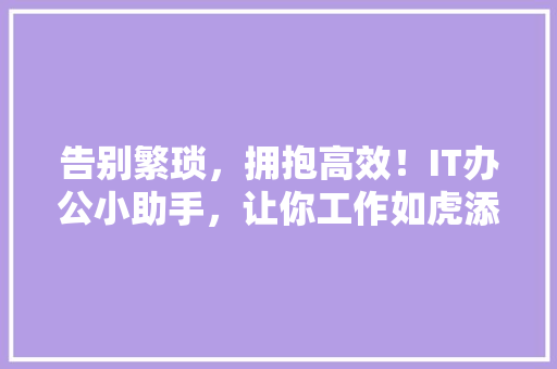 告别繁琐，拥抱高效！IT办公小助手，让你工作如虎添翼！ GoogleSEO