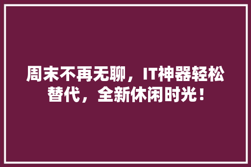 周末不再无聊，IT神器轻松替代，全新休闲时光！ 必应SEO