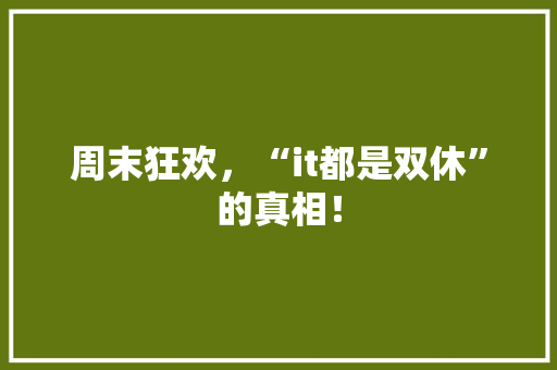 周末狂欢，“it都是双休”的真相！ 神马SEO