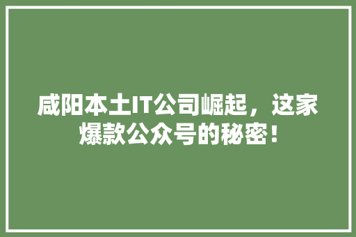 咸阳本土IT公司崛起，这家爆款公众号的秘密！ 搜狗SEO