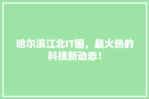哈尔滨江北IT圈，最火热的科技新动态！ GoogleSEO