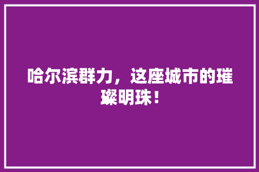 哈尔滨群力，这座城市的璀璨明珠！ 神马SEO