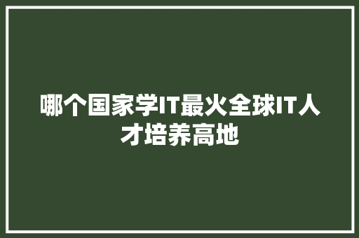 哪个国家学IT最火全球IT人才培养高地 必应SEO