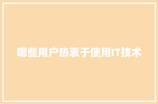 哪些用户热衷于使用IT技术 百度SEO