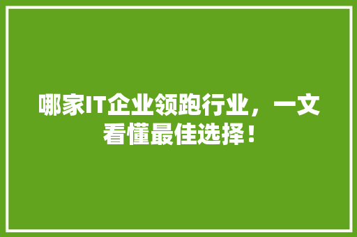 哪家IT企业领跑行业，一文看懂最佳选择！