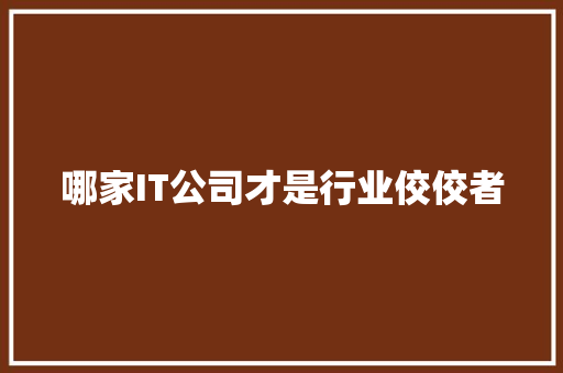哪家IT公司才是行业佼佼者 神马SEO