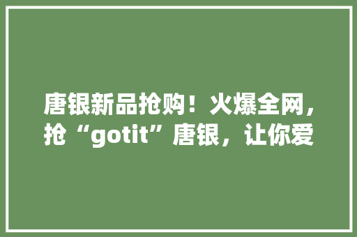 唐银新品抢购！火爆全网，抢“gotit”唐银，让你爱不释手！ GoogleSEO
