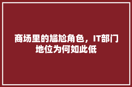 商场里的尴尬角色，IT部门地位为何如此低 GoogleSEO