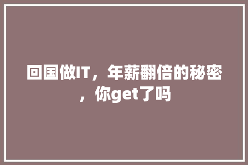 回国做IT，年薪翻倍的秘密，你get了吗 GoogleSEO