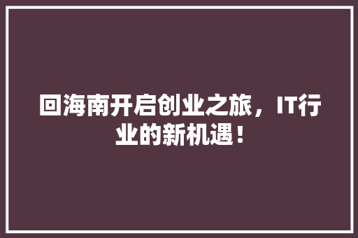 回海南开启创业之旅，IT行业的新机遇！ 百度SEO