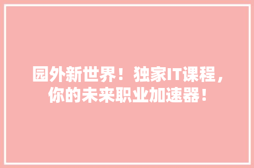 园外新世界！独家IT课程，你的未来职业加速器！ 必应SEO