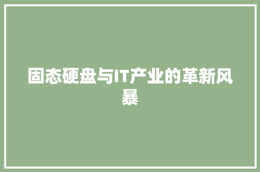 固态硬盘与IT产业的革新风暴 必应SEO