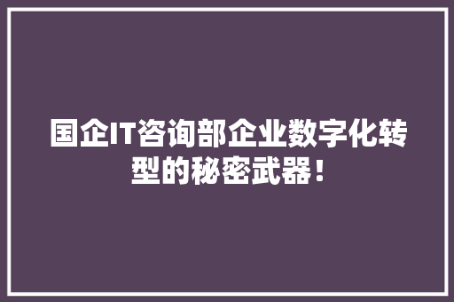 国企IT咨询部企业数字化转型的秘密武器！ GoogleSEO