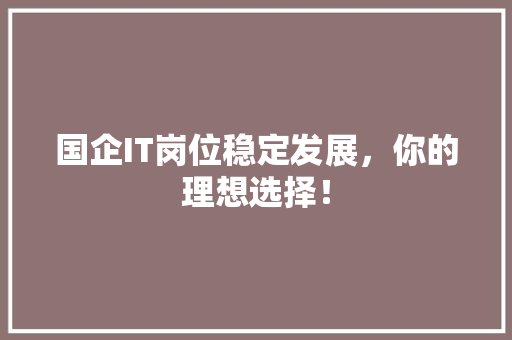国企IT岗位稳定发展，你的理想选择！