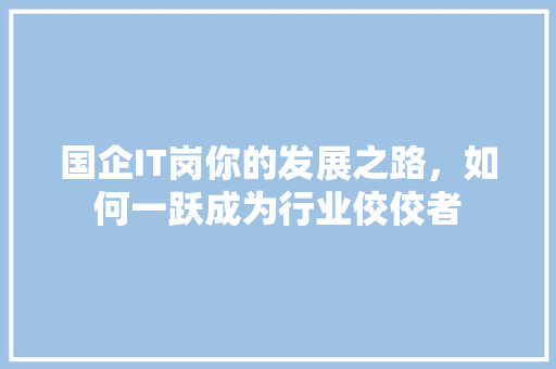 国企IT岗你的发展之路，如何一跃成为行业佼佼者 神马SEO