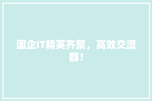 国企IT精英齐聚，高效交流群！ 百度SEO
