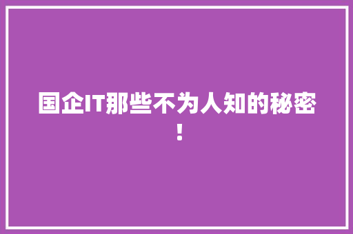 国企IT那些不为人知的秘密！ 神马SEO