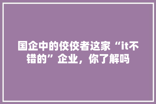 国企中的佼佼者这家“it不错的”企业，你了解吗