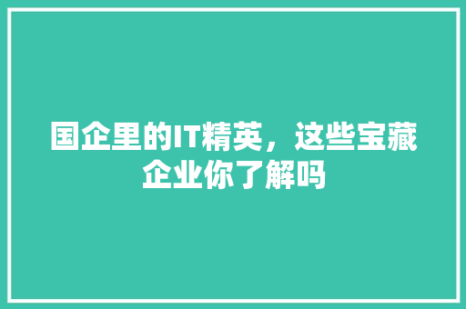 国企里的IT精英，这些宝藏企业你了解吗 必应SEO