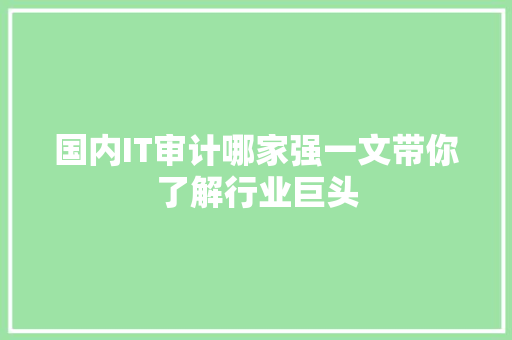 国内IT审计哪家强一文带你了解行业巨头 必应SEO