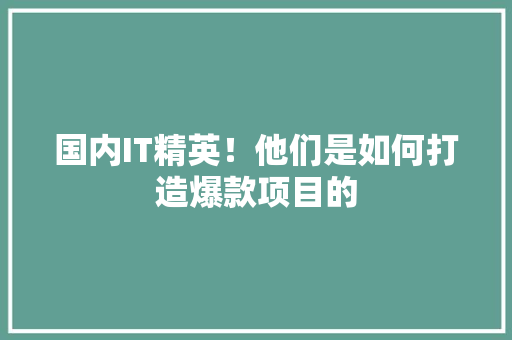 国内IT精英！他们是如何打造爆款项目的 搜狗SEO