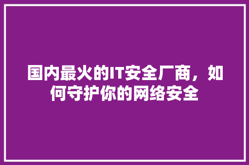 国内最火的IT安全厂商，如何守护你的网络安全 GoogleSEO