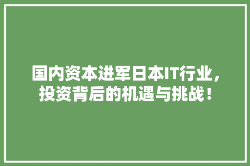 国内资本进军日本IT行业，投资背后的机遇与挑战！ GoogleSEO