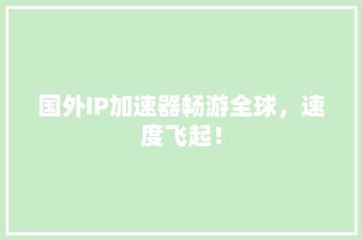 国外IP加速器畅游全球，速度飞起！ GoogleSEO