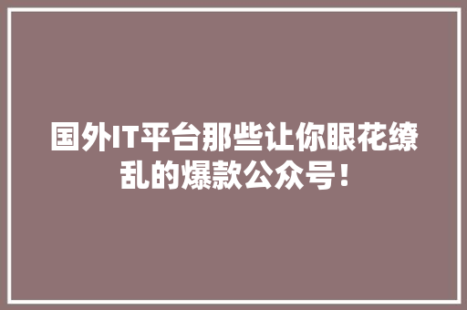 国外IT平台那些让你眼花缭乱的爆款公众号！ GoogleSEO
