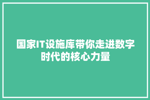 国家IT设施库带你走进数字时代的核心力量 GoogleSEO