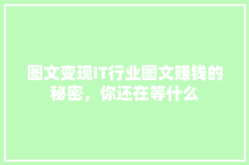 图文变现IT行业图文赚钱的秘密，你还在等什么 必应SEO